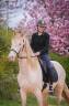 Gelding PRE Pure Spanish Bred For sale 2022 Cream