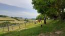 Equestrian farm  Rhône
