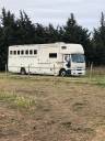 Horsebox NON-HGV - Other brand - DONGUY 2000 Used