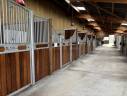 Stud farm  Vendée