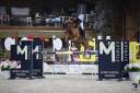 Mare Saddle Horse For sale 2016 Chesnut