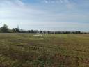 Other agricultural property  Dordogne