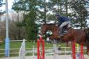 Mare Origin Recorded For sale 2019 Liver chestnut