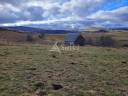 Dairy farm  Cantal
