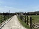 Equestrian property  Orne