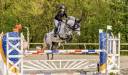 Mare French Saddle Pony For sale 2016 Grey