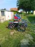 Carriage - Marathon for leisure   