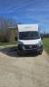 Horsebox HGV Fiat  180 2.5 D 2023 Used