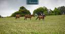 Equestrian property  Var