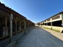 Riding school  Morbihan
