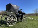 Carriage - Victoria   