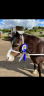 Welsh Sec A - polly 11.2hh 