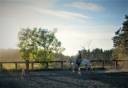 Equestrian property  Haute-Loire
