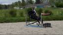 Gelding No Origin Recorded For sale 2020 Black