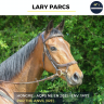 Gelding AQPS For sale 2021 Bay