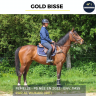 Mare Thoroughbred For sale 2022 Bay