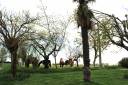 Equestrian property  Tarn-et-Taronne