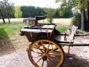 Carriage - Calèche   