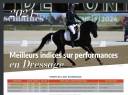 Stallion French Saddle Pony For sale 2020 Black