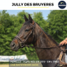 Mare AQPS For sale 2019 Black