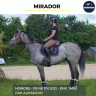 Gelding Thoroughbred For sale 2021 Grey