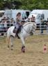 Mare CDE Caballo Deporte Espanol For sale 2005 Grey