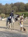 Mare Origin Recorded For sale 2015 Grey