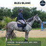 Gelding Thoroughbred For sale 2022 Grey