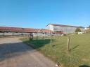 Sheep farm  Jura