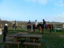 Stableman - Permanent contract Half time - Orne France