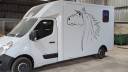 Horsebox HGV Cavalcar Opel Movano 2020 Used