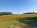 Other agricultural property  Lot-et-Garonne