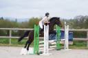 JUST BRIGHT DE RHONON - Connemara 2019 by CRACKER BOY MELODY