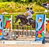 Mare Welsh Pony (Section A) For sale 2019 Black