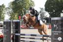 GOLBURY DES BERTAINES - Welsh Pony (Section B) 2016 by VINCE DIWAN