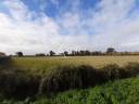 Sheep farm  Vienne