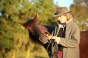 Mare PRE Pure Spanish Bred For sale 2022 Black