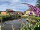 Luxurious equestrian property  Haute-Saône