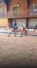 Gelding PRE Pure Spanish Bred For sale 2022 Buckskin