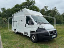 Horsebox HGV AP Petit  2014 Used