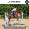 Gelding AQPS For sale 2021 Chesnut