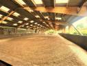 Stud farm  Seine-et-Marne