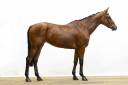 Mare Zangersheide For sale 2020 Bay