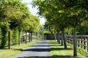 Equestrian property  Calvados