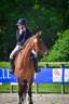 Mare Selle Français For sale 2013 Bay