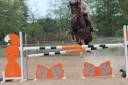 Entire Origin Recorded For sale 2009 Liver chestnut