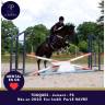 Mare Thoroughbred For sale 2020 Bay