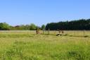 Equestrian property  Charente-Maritime