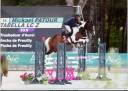 Mare Zangersheide For sale 2016 Coloured