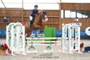 Mare sBs Belgian Warmblood For sale 2020 Chesnut